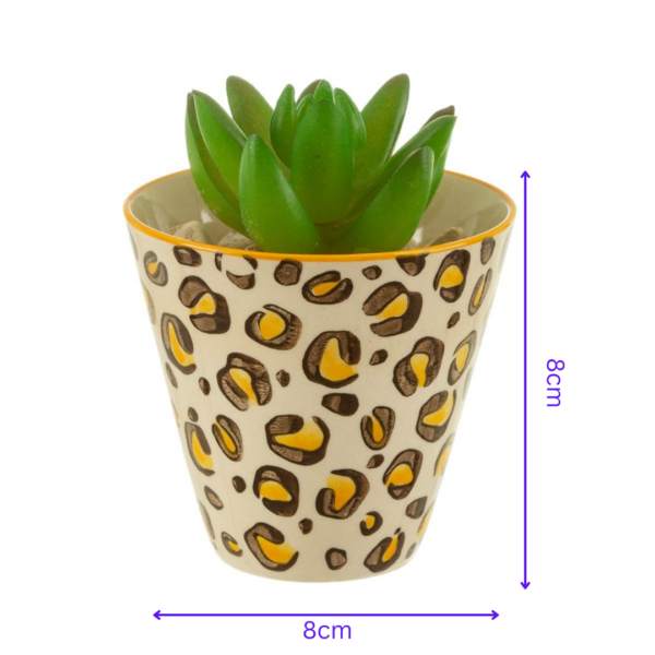 Mini leopard print planter infographic showing dimensions with succulent