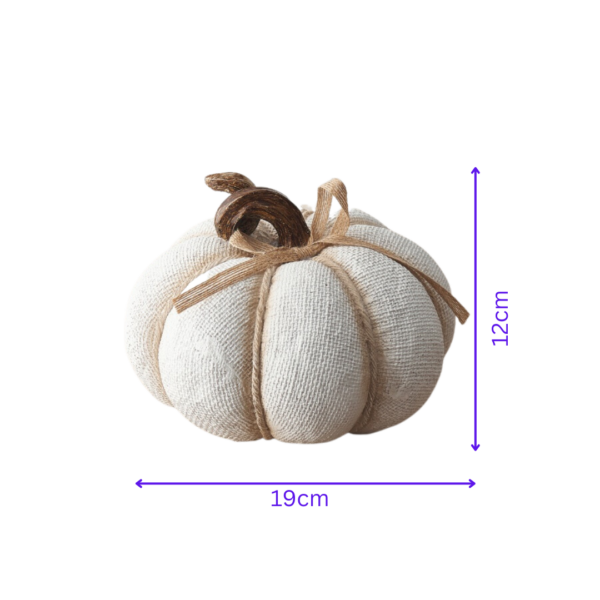 stone textured pumpkin infographic